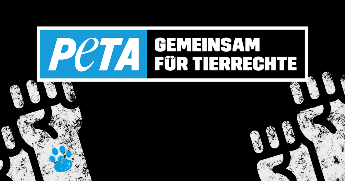 PETA ZWEI-Streetteams demonstrieren gegen Exotenleder