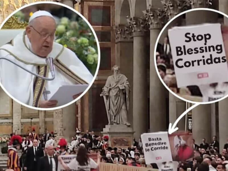 Papst hält eine Messe und Menschen halten Plakate hoch