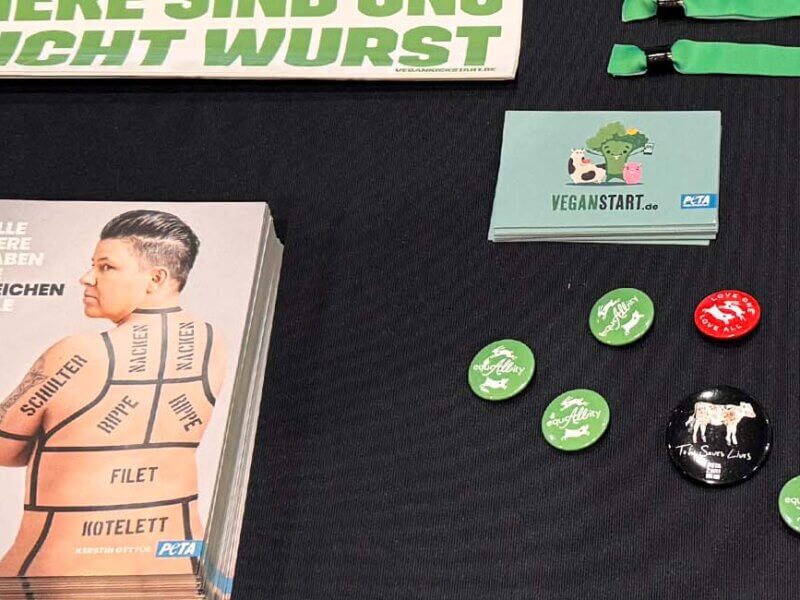 Infostand mit PETA Material