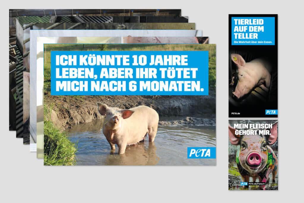 PETA Demopaket Plakat