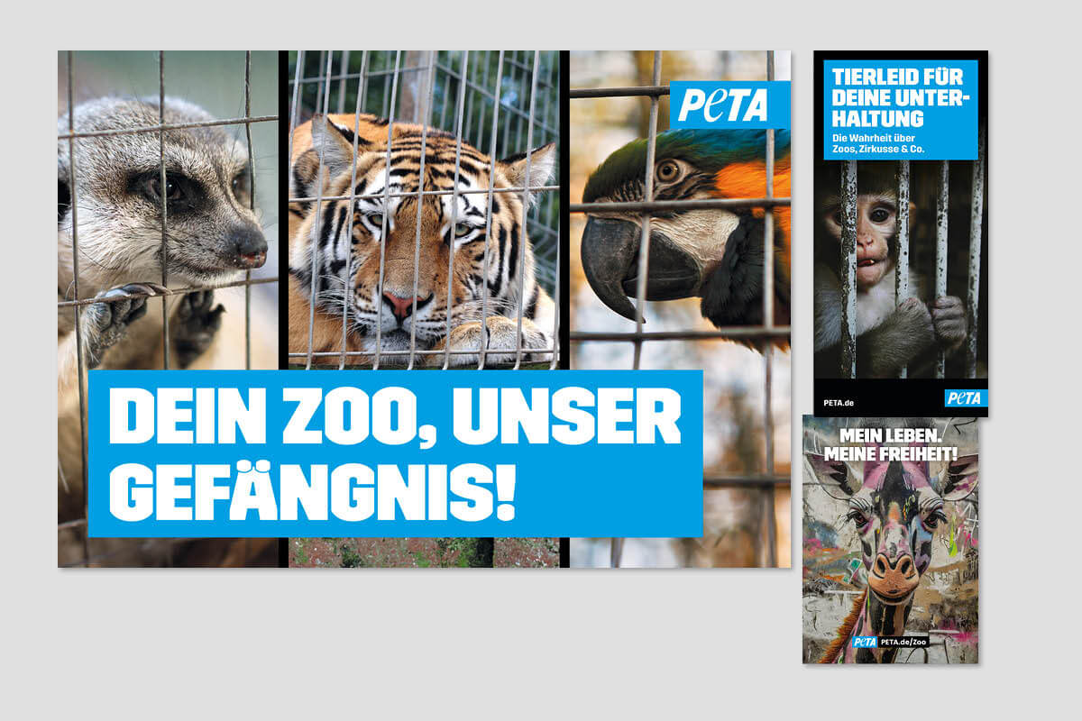 Zoo