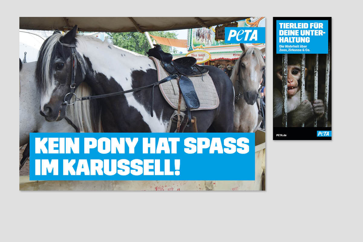 Ponykarussell