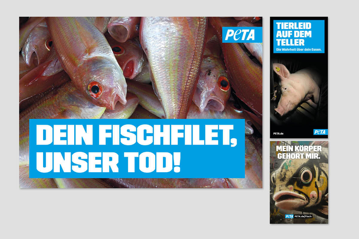 Fischindustrie