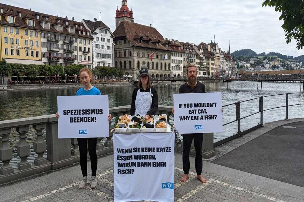 3 Demonstrierende in Luzern gegen das Essen von Fisch.